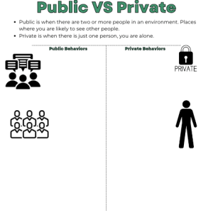 Public VS Private ABA Program